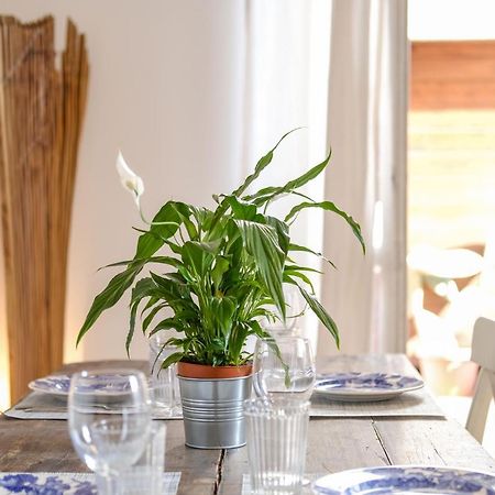 Spacious Apartment With Big Terrace At Colosseum Roma Eksteriør bilde